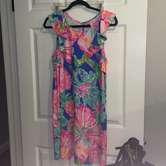 Lily Pulitzer Dress - Picture 4 of 5